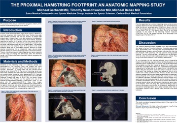 Proximal Hamstring Footprint- An Anatomic Mapping Study
